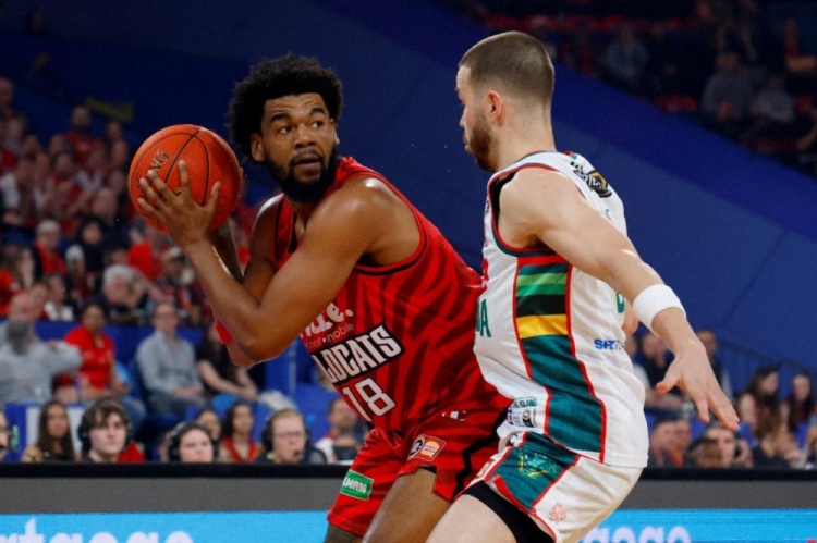 周六競(jìng)彩籃球強(qiáng)檔：珀斯野貓亟待磨合 新西蘭破壞者力爭(zhēng)首勝